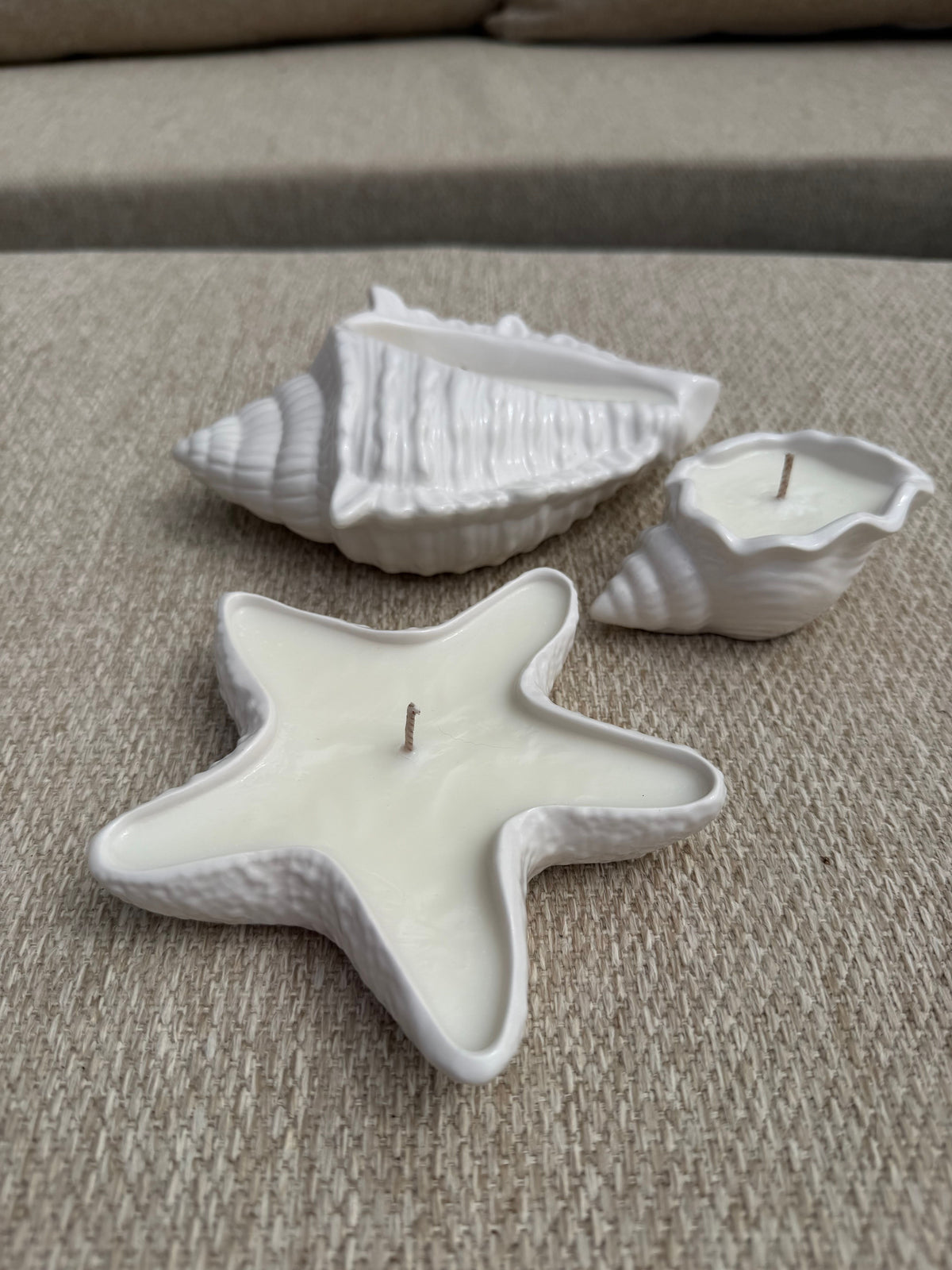 Ocean Treasures Trio